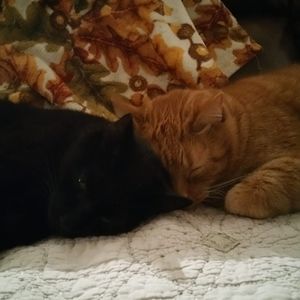 Meet your Posher, Cindy